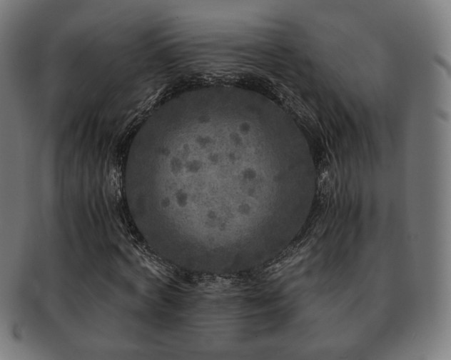 X0000091880772200709051323