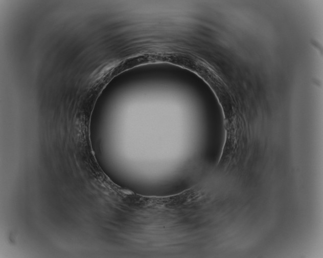 X0000091880773200709051323