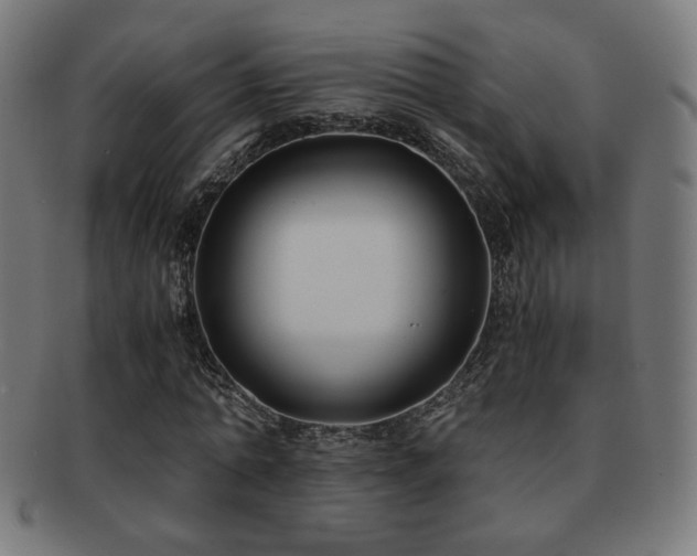 X0000091880774200709051323