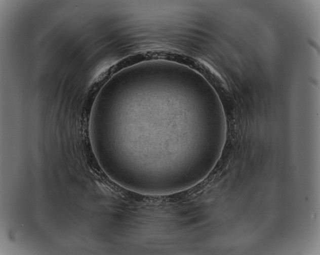 X0000091880775200709051323