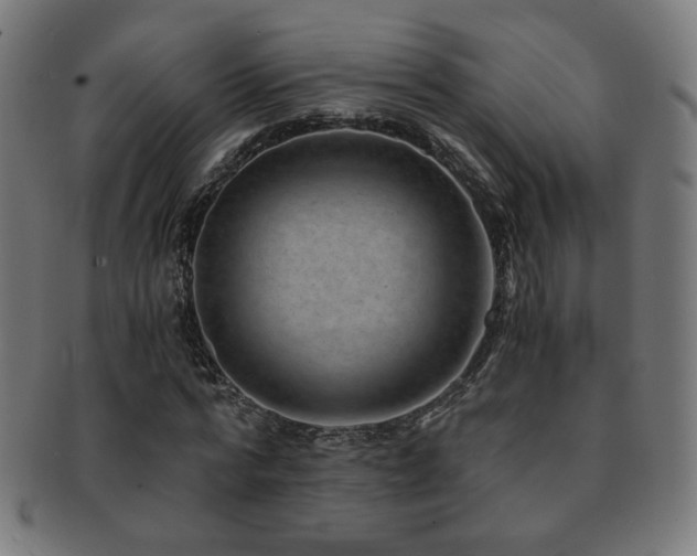 X0000091880776200709051323