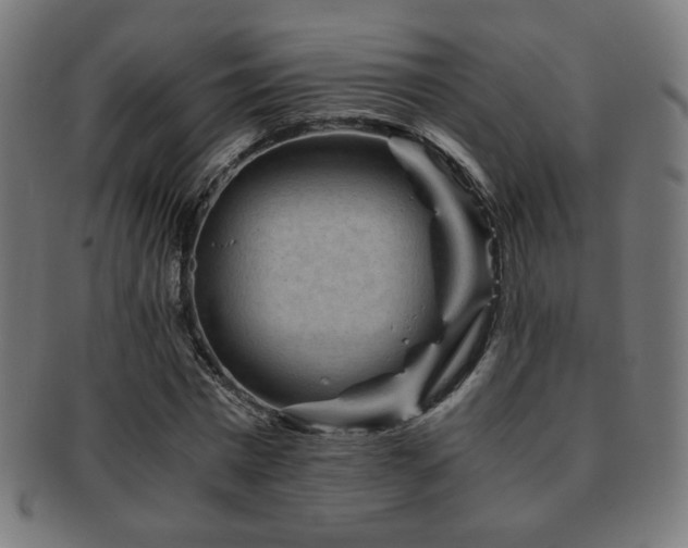 X0000091880777200709051323