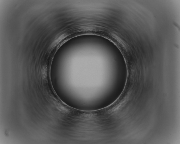 X0000091880778200709051323