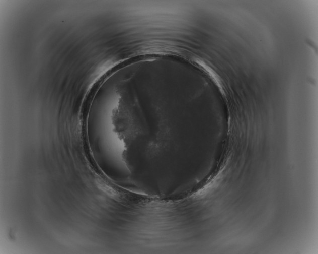 X0000091880779200709051323