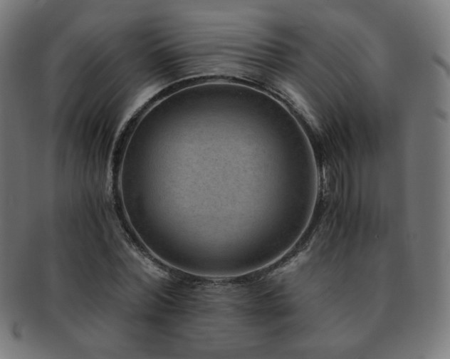 X0000091880780200709051323