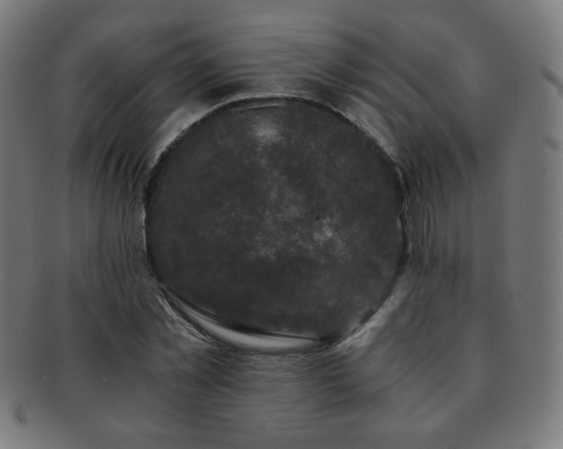 X0000091880781200709051323