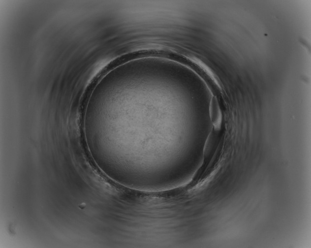X0000091880783200709051323