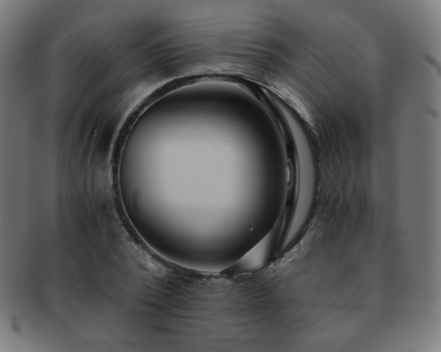 X0000091880784200709051323