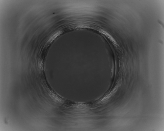 X0000091880785200709051323