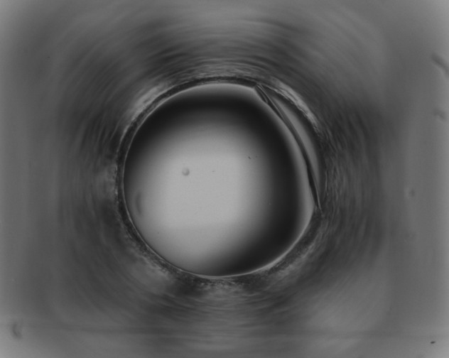 X0000091880786200709051323