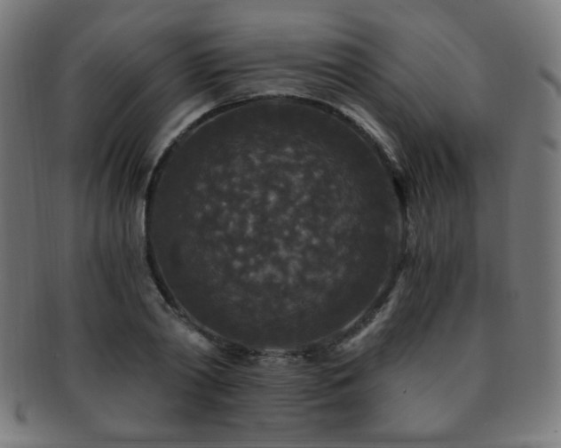 X0000091880790200709051323