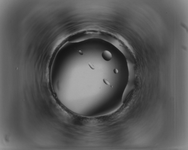 X0000091880791200709051323