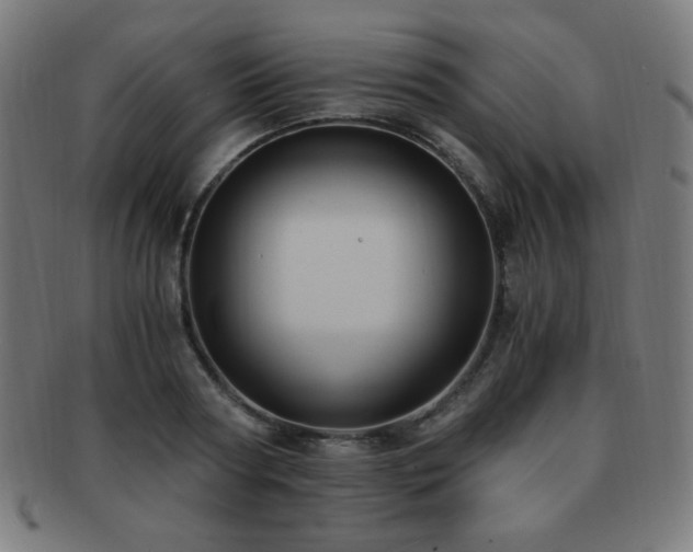 X0000091880794200709051323