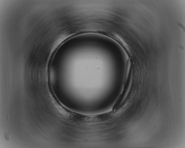 X0000091880795200709051323