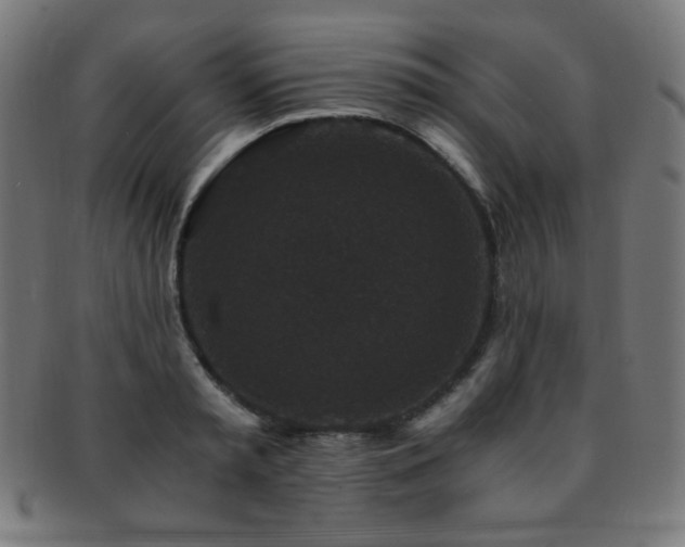 X0000091880797200709051323