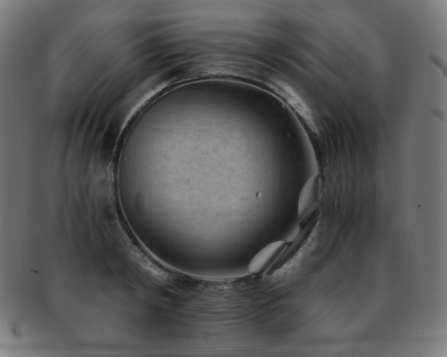 X0000091880798200709051322