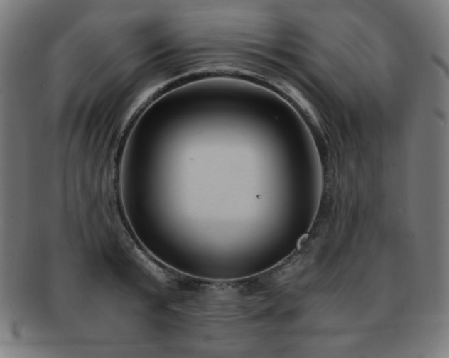 X0000091880799200709051322