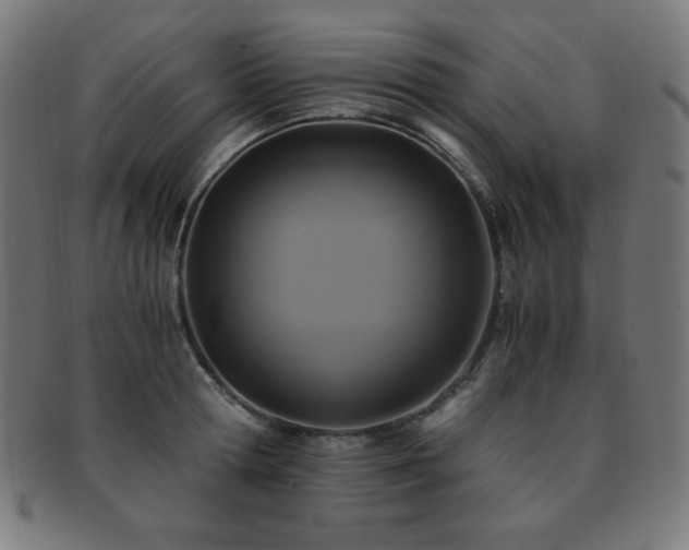 X0000091880802200709051322