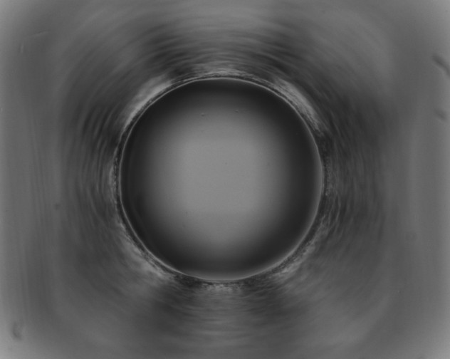X0000091880806200709051322