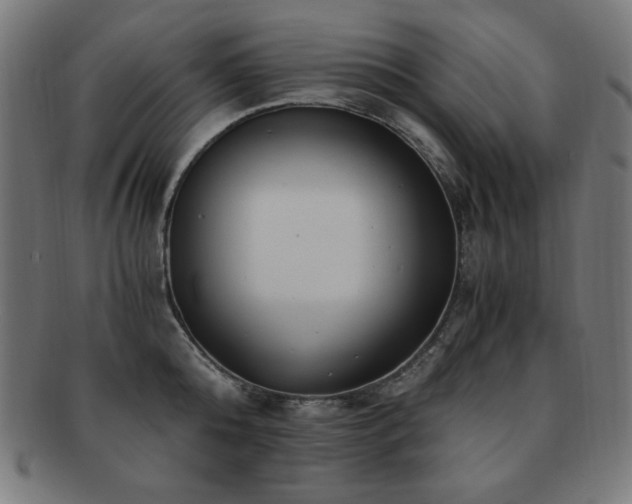 X0000091880808200709051322