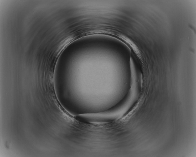 X0000091880809200709051322