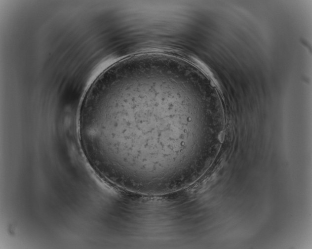 X0000091880811200709051322