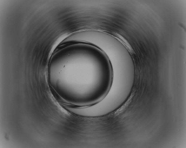 X0000091880812200709051322