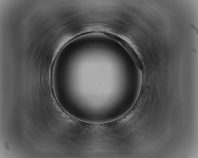 X0000091880815200709051322