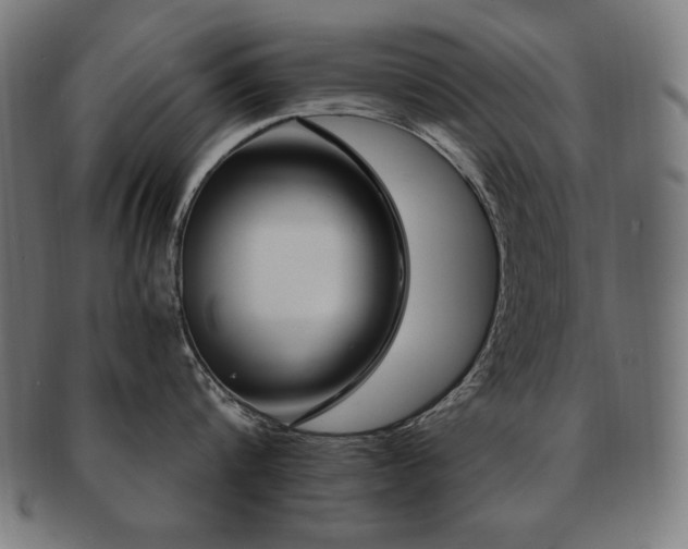 X0000091880816200709051322