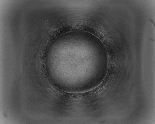 X0000091880817200709051322