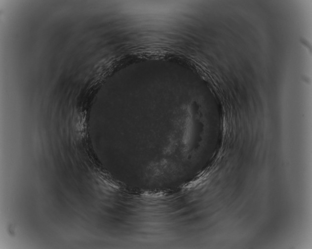 X0000091880818200709051322