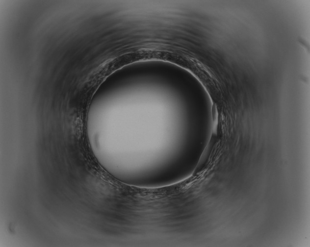 X0000091880821200709051322