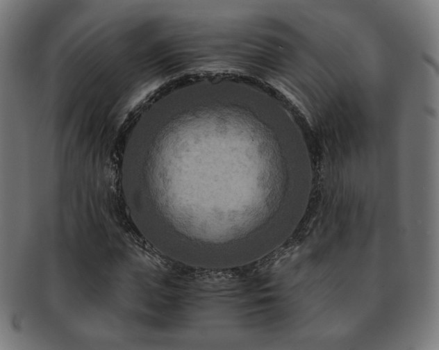 X0000091880823200709051322