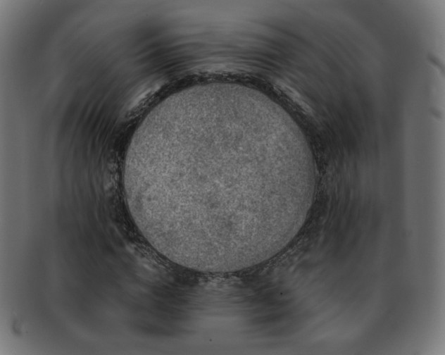 X0000091880824200709051322
