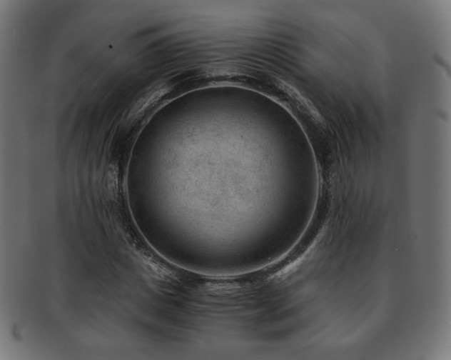 X0000091880825200709051322