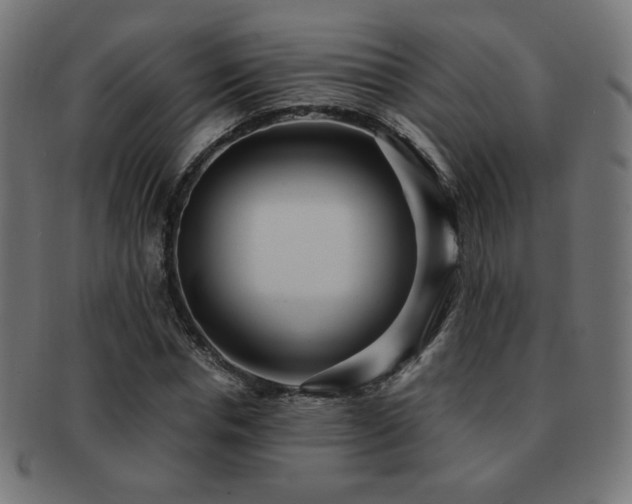 X0000091880826200709051322