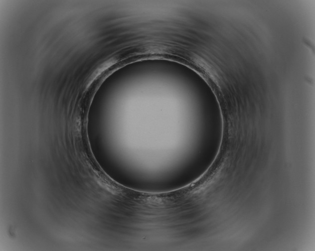 X0000091880827200709051322