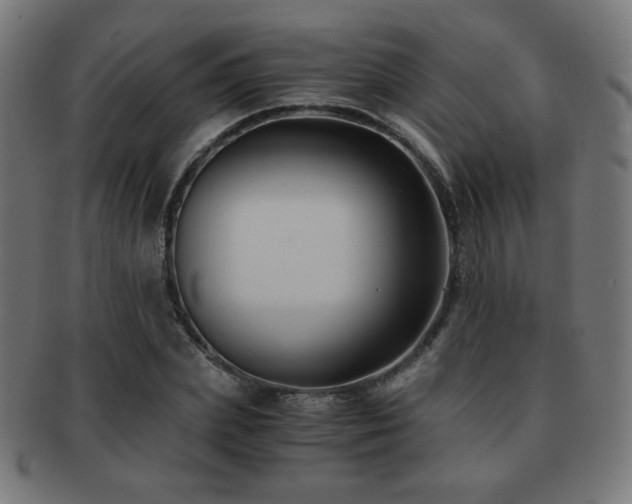 X0000091880831200709051322