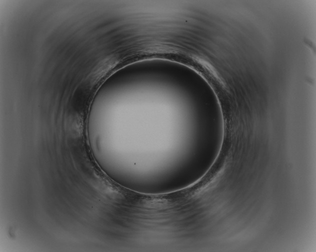 X0000091880833200709051322