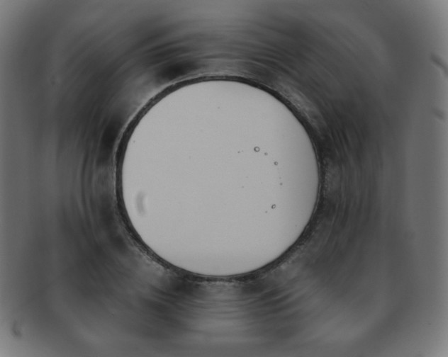 X0000091880836200709051322