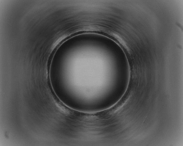 X0000091880837200709051322
