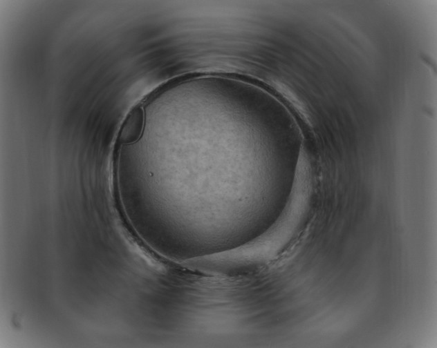 X0000091880840200709051322