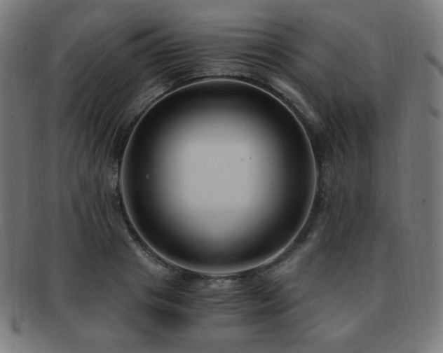 X0000091880841200709051322