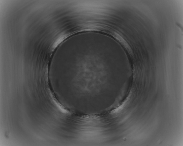 X0000091880842200709051322