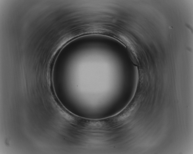 X0000091880843200709051322