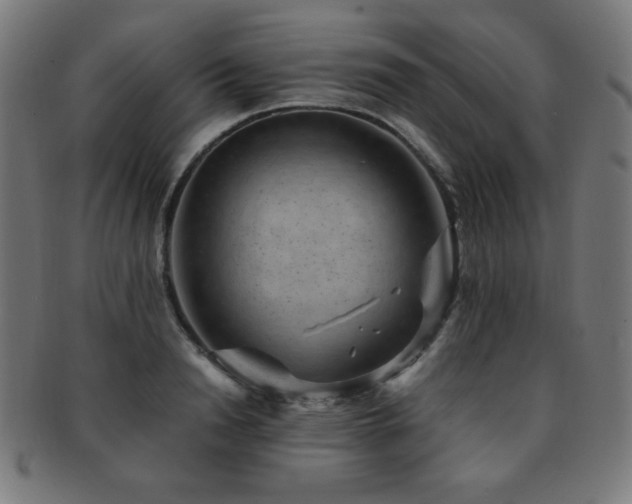 X0000091880846200709051322