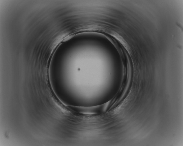 X0000091880850200709051322