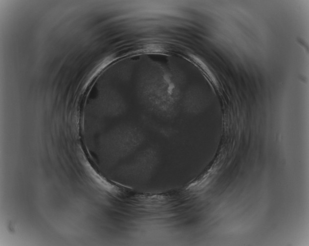 X0000091880851200709051322