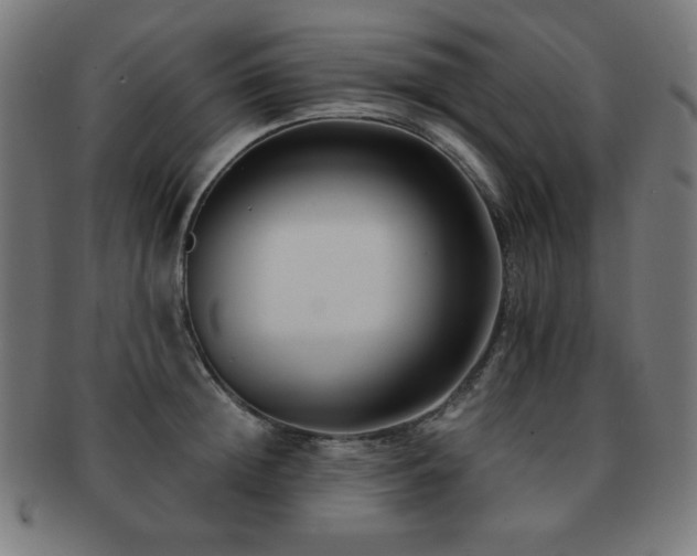 X0000091880852200709051322