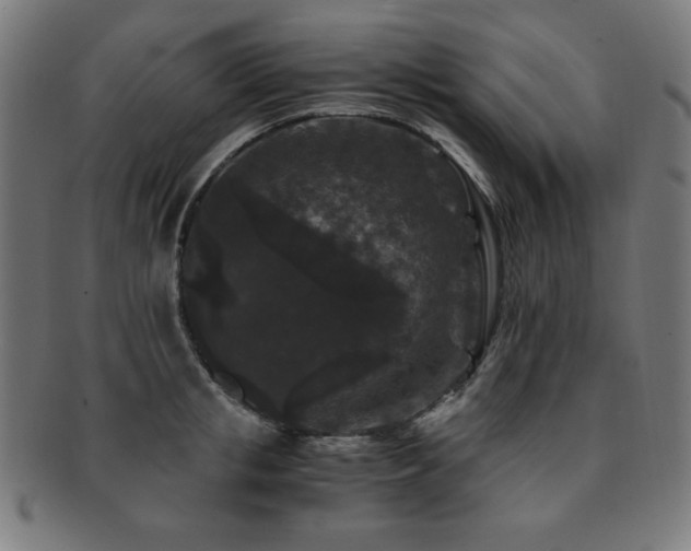 X0000091880853200709051322